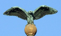 Turul bird on top of the pilar